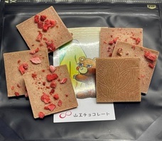 株式会社エムディーのプレスリリース画像2