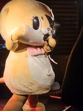 ZXY株式会社のプレスリリース画像4