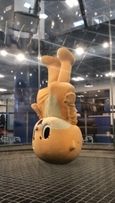 ZXY株式会社のプレスリリース画像7