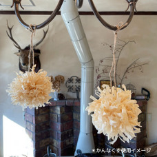 ウィングホーム株式会社のプレスリリース画像6