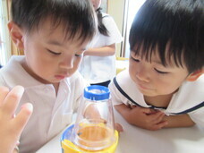 インターナショナル・プリスクールCHESのプレスリリース画像2