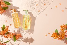 株式会社H2Oのプレスリリース画像1