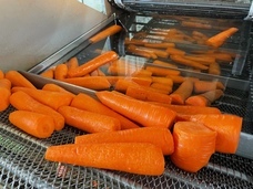 合同会社サイプレスのプレスリリース画像7