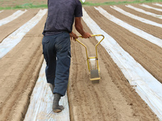 合同会社サイプレスのプレスリリース画像5