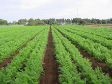 合同会社サイプレスのプレスリリース画像8