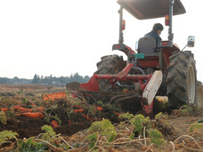 合同会社サイプレスのプレスリリース画像6