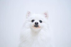 合同会社サイプレスのプレスリリース画像4