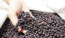 なだや株式会社のプレスリリース画像3