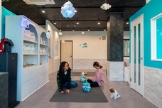 株式会社DTのプレスリリース画像1