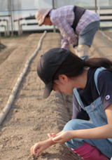 IKE FARMのプレスリリース画像1