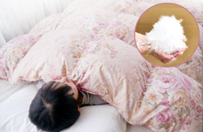 遠山産業株式会社のプレスリリース画像1