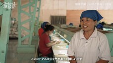 キーコーヒー株式会社のプレスリリース画像5