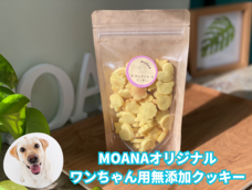 SO-SHIN株式会社のプレスリリース画像1