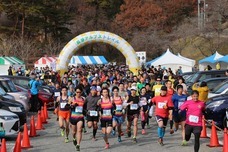 一般社団法人長瀞町観光協会のプレスリリース画像1