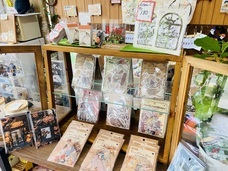 morecustomerのプレスリリース画像1