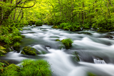 太田野温泉のプレスリリース画像6