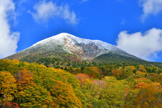 太田野温泉のプレスリリース画像5