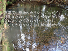 ウォーターズ・リバイタルプロジェクトのプレスリリース画像1