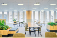 サングローブ株式会社のプレスリリース画像3