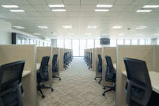 サングローブ株式会社のプレスリリース画像4