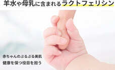 Ruler株式会社のプレスリリース画像1