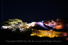 株式会社 One Bitのプレスリリース画像1