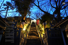 株式会社 One Bitのプレスリリース画像1