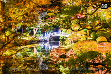 株式会社 One Bitのプレスリリース画像1