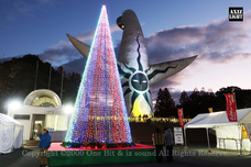 株式会社 One Bitのプレスリリース画像1