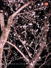 株式会社 One Bitのプレスリリース画像1