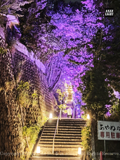 株式会社 One Bitのプレスリリース画像1