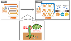 株式会社アジアスターのプレスリリース画像1
