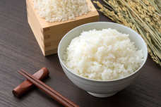 LINGUA FRANCA CORPORATIONのプレスリリース画像1