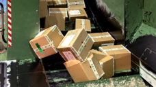 ジンエイジェント株式会社のプレスリリース画像4