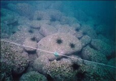 株式会社KABUKUのプレスリリース画像14