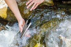 合同会社RAQFULのプレスリリース画像5