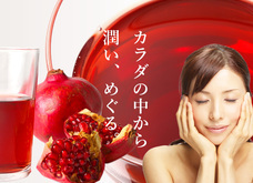 野田ハニー食品工業 株式会社のプレスリリース画像3