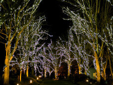 株式会社太平のプレスリリース画像2