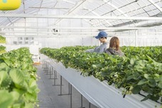 いわつるfam.のプレスリリース画像7