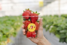 いわつるfam.のプレスリリース画像6