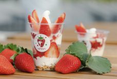 いわつるfam.のプレスリリース画像2