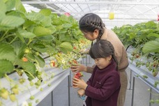 いわつるfam.のプレスリリース画像5