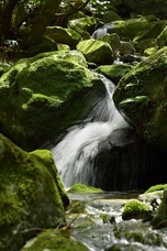 合資会社 光武酒造場のプレスリリース画像5