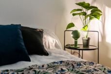 株式会社エスオーエルのプレスリリース画像2