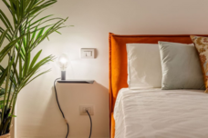 株式会社エスオーエルのプレスリリース画像10