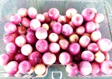 甲斐こまベリーファームのプレスリリース画像1