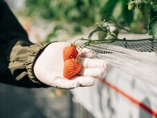 万田発酵株式会社のプレスリリース画像4