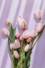 合同会社anyteeのプレスリリース画像6