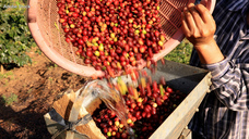 カフェテーロ葉山/(同)エンディレクトのプレスリリース画像4