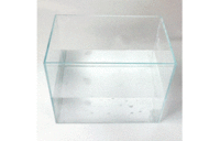 株式会社RICOのプレスリリース画像9